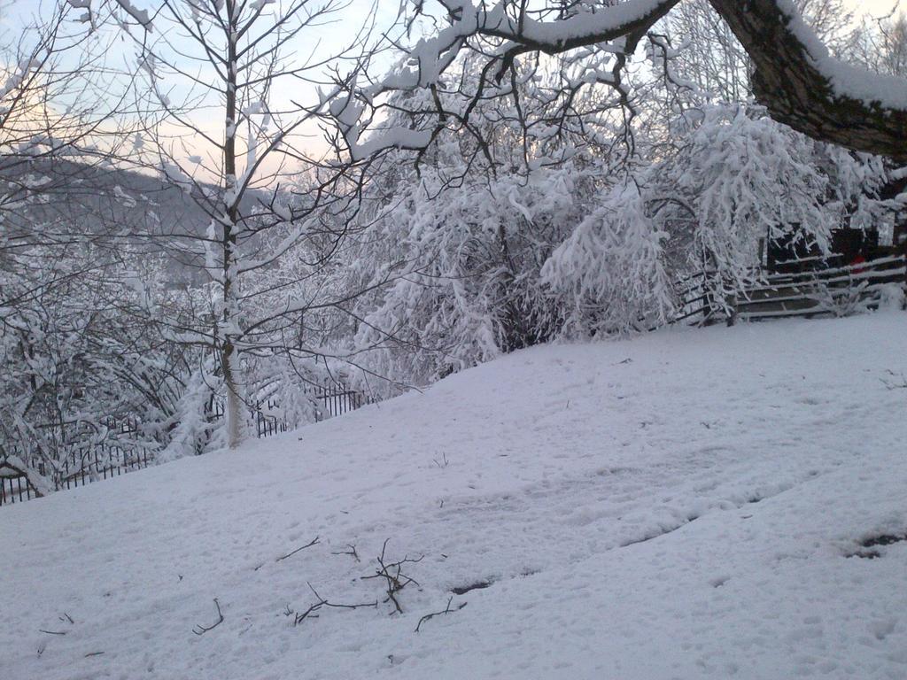 Country House Stoljetna Vila Seona ภายนอก รูปภาพ