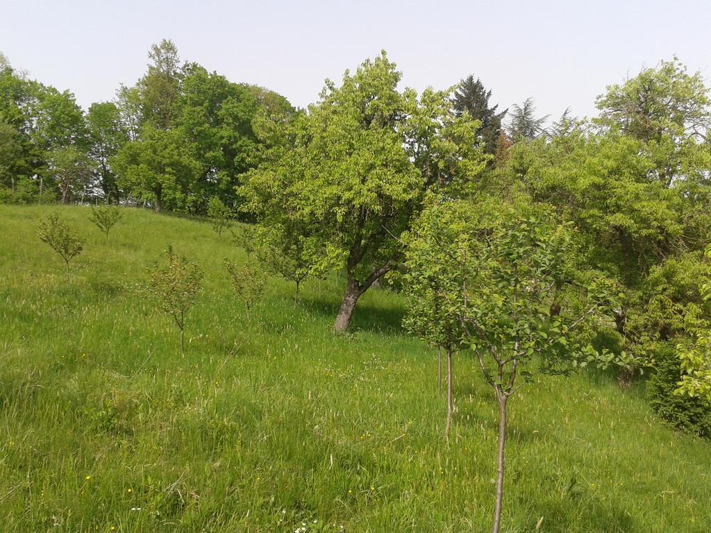 Country House Stoljetna Vila Seona ภายนอก รูปภาพ