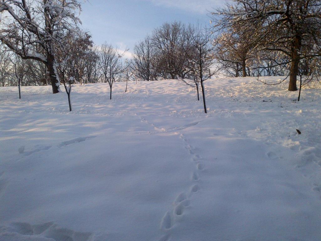 Country House Stoljetna Vila Seona ภายนอก รูปภาพ