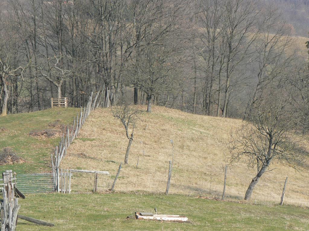 Country House Stoljetna Vila Seona ภายนอก รูปภาพ